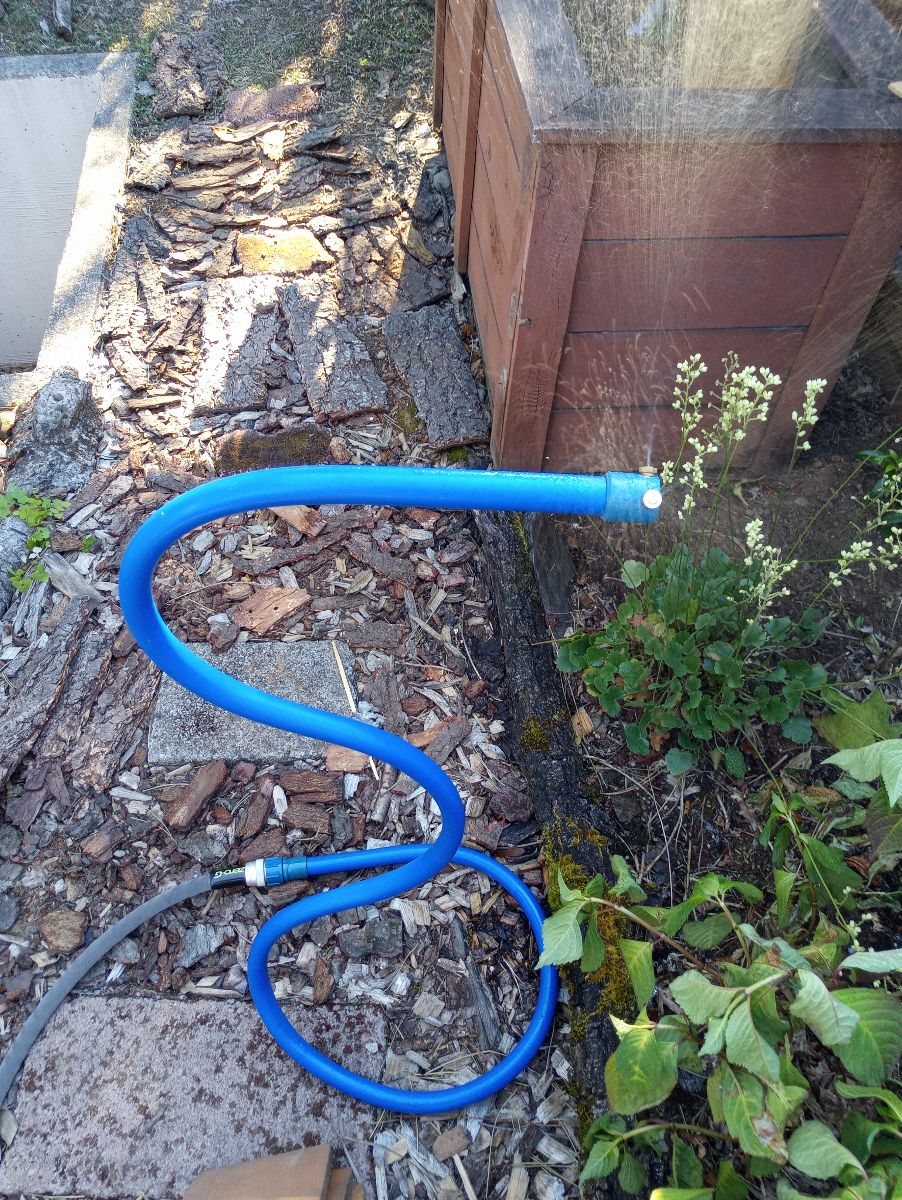 Image of blue plastic mister connected to waterhose, resting on ground of pavers and wood chips. wilted hydrangea to the right.