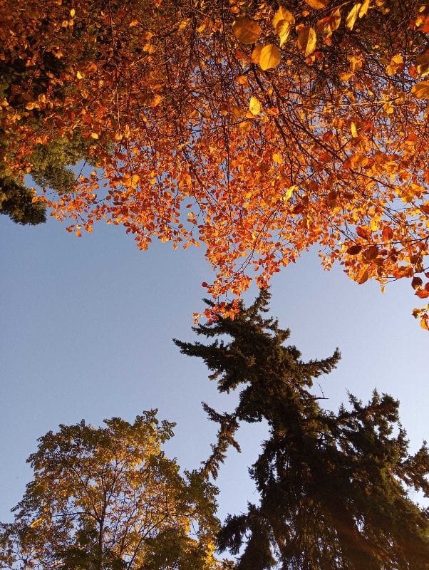 Moment of Mind October 2019