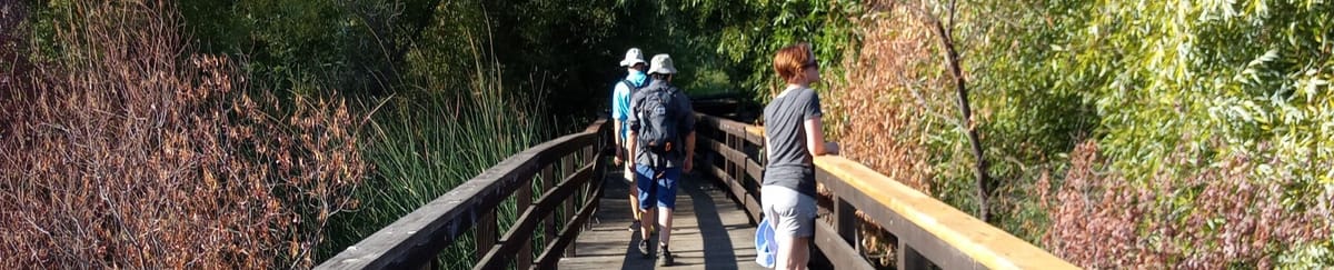 Walk FAQs